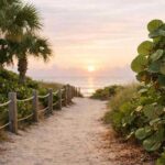 What Is the Difference Between IOP and PHP in Florida